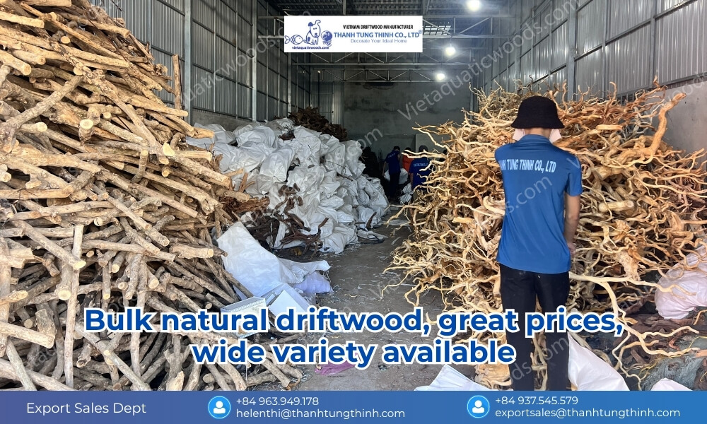 Piles of natural driftwood ready for bulk purchase
