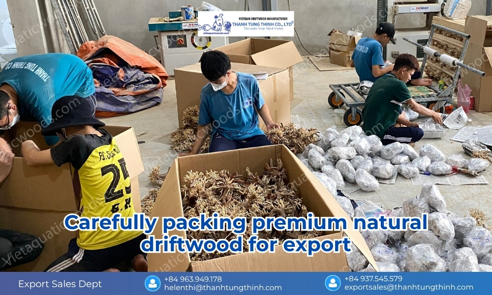Workers securely packing premium driftwood for shipment