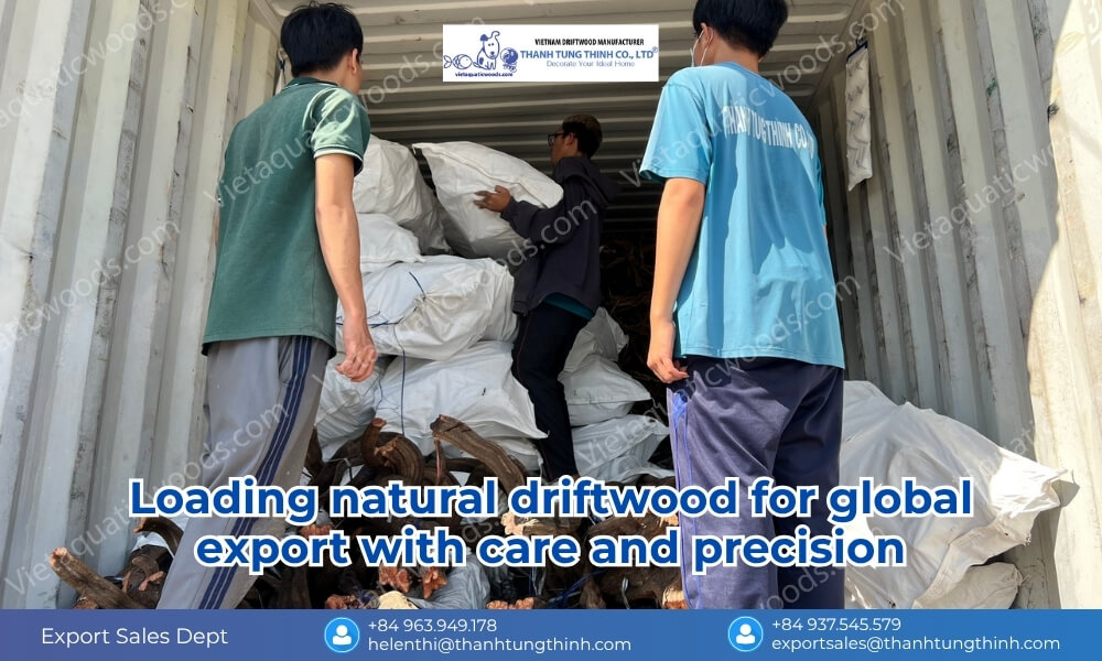 Workers carefully loading driftwood onto shipping containers