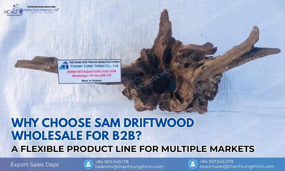 Sam driftwood wholesale for aquarium pet store reptile garden and landscaping B2B supply
