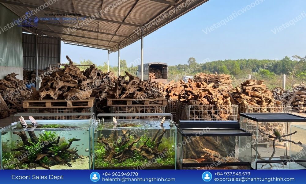 100% Natural Sam Driftwood Wholesale Supplier for Pet and Aquarium Industry