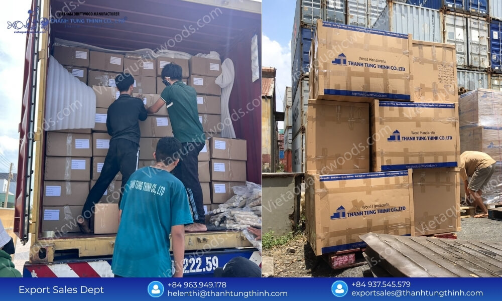 100% Natural Sam Driftwood Wholesale Supplier for Pet and Aquarium Industry