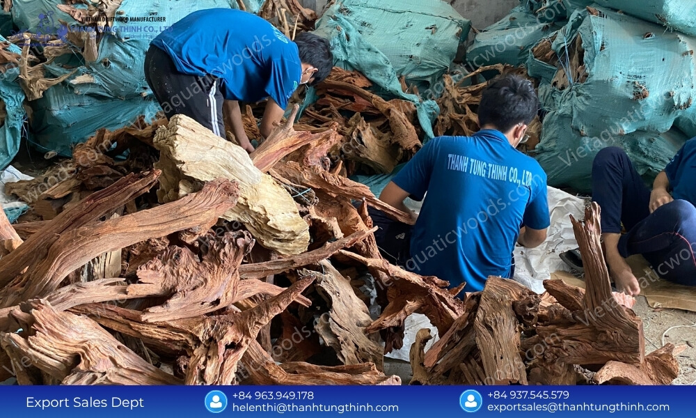 100% Natural Sam Driftwood Wholesale Supplier for Pet and Aquarium Industry