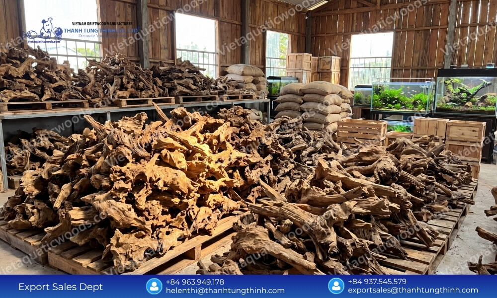 100% Natural Sam Driftwood Wholesale Supplier for Pet and Aquarium Industry
