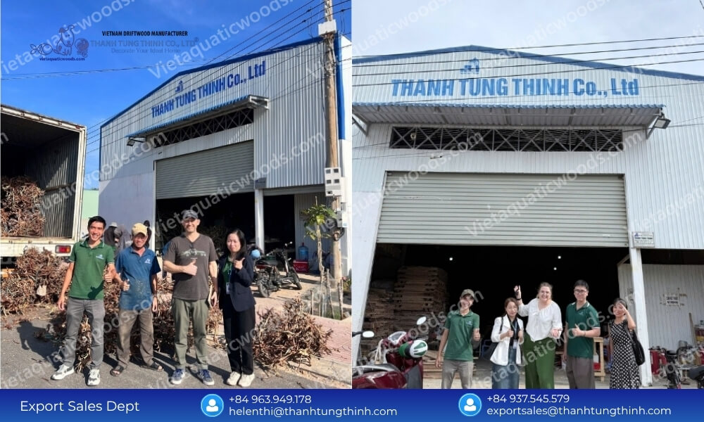 B2B Sourcing Guide: Vetting a Kimchi Driftwood Supplier in Vietnam