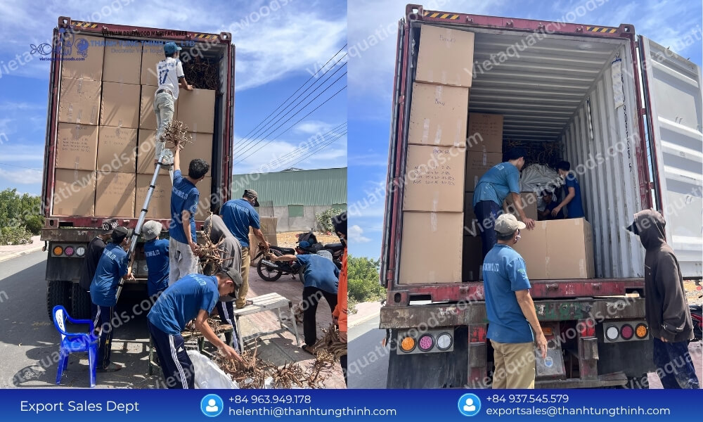 B2B Sourcing Guide: Vetting a Kimchi Driftwood Supplier in Vietnam
