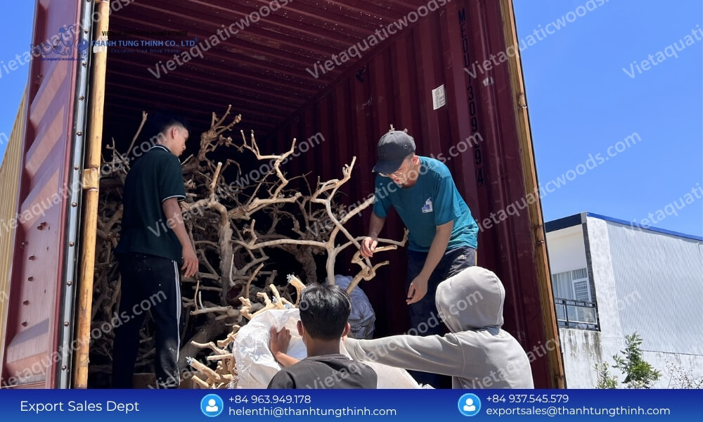 Bulk Kimchi Driftwood Factory Direct Supplier: Global Export