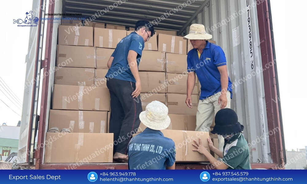 Bulk Kimchi Driftwood Factory Direct Supplier: Global Export