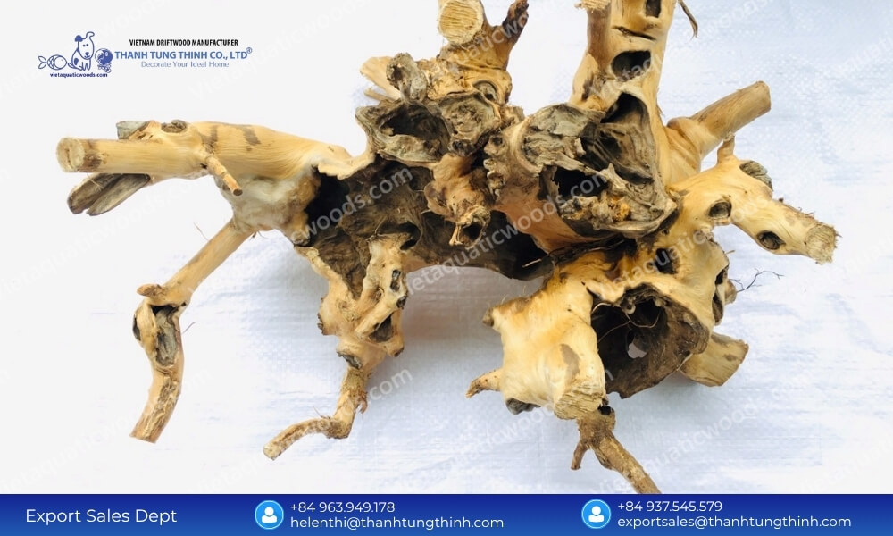 Bulk Kimchi Driftwood Factory Direct Supplier: Global Export