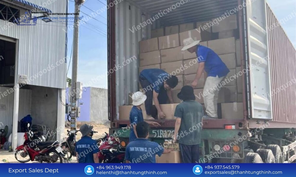 Bulk Kimchi Driftwood Factory Direct Supplier: Global Export