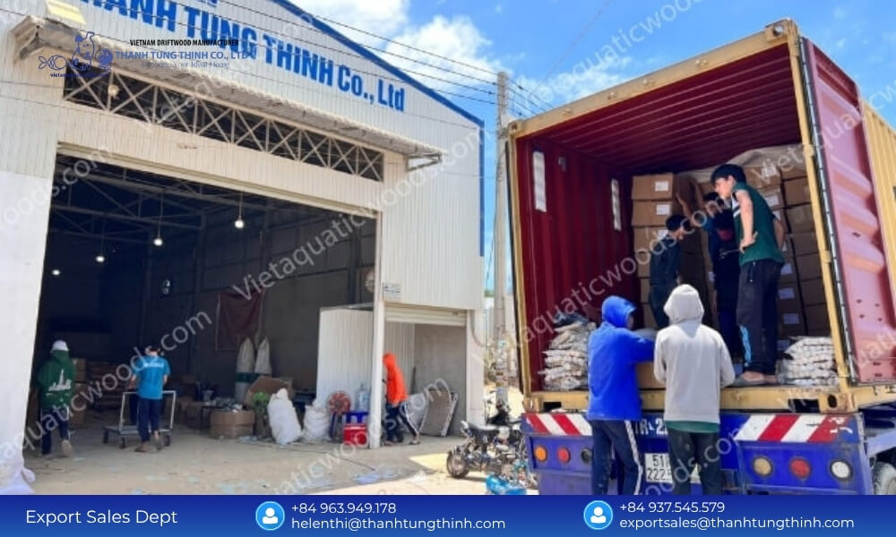 Bulk Kimchi Driftwood Factory Direct Supplier: Global Export