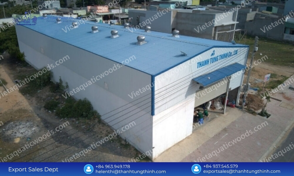 Bulk Kimchi Driftwood Factory Direct Supplier: Global Export