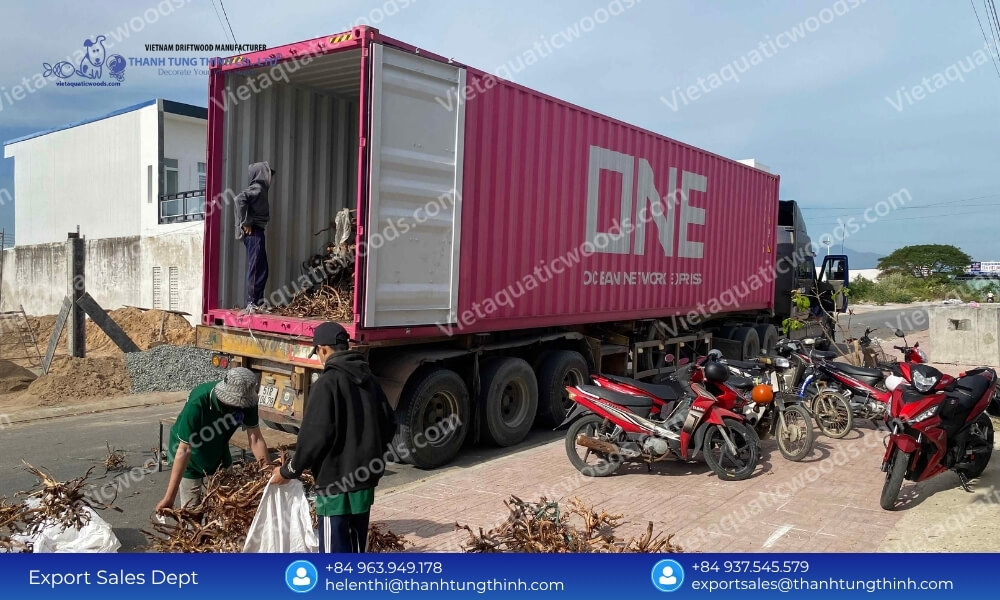Bulk Kimchi Driftwood Factory Direct Supplier: Global Export