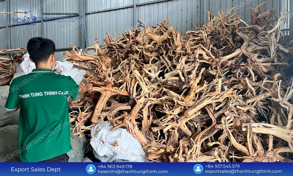 Buy Direct: Sam Driftwood Supplier in Vietnam Global Shipping