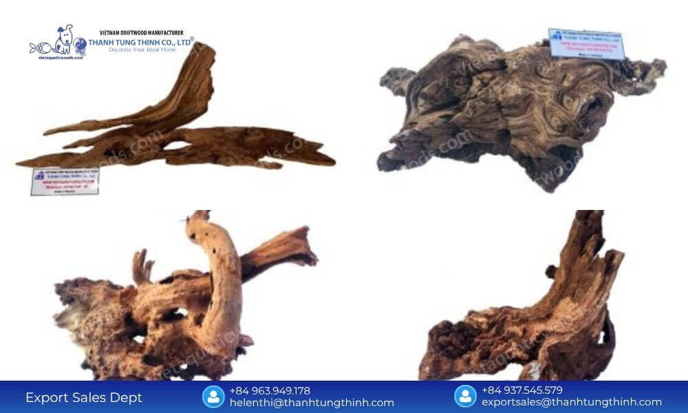 Buy Direct: Sam Driftwood Supplier in Vietnam Global Shipping
