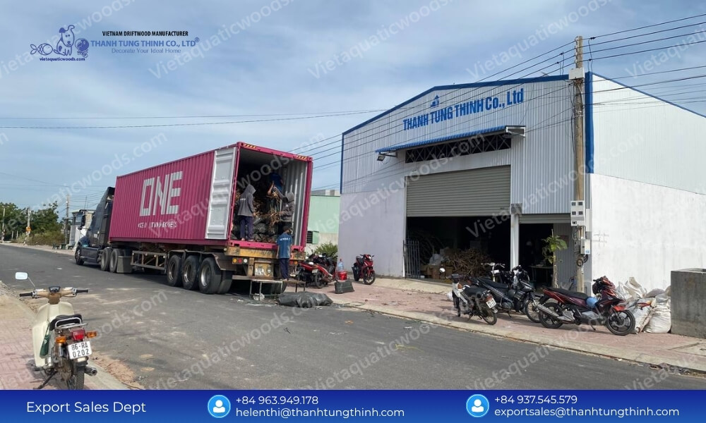 Buy Direct: Sam Driftwood Supplier in Vietnam Global Shipping
