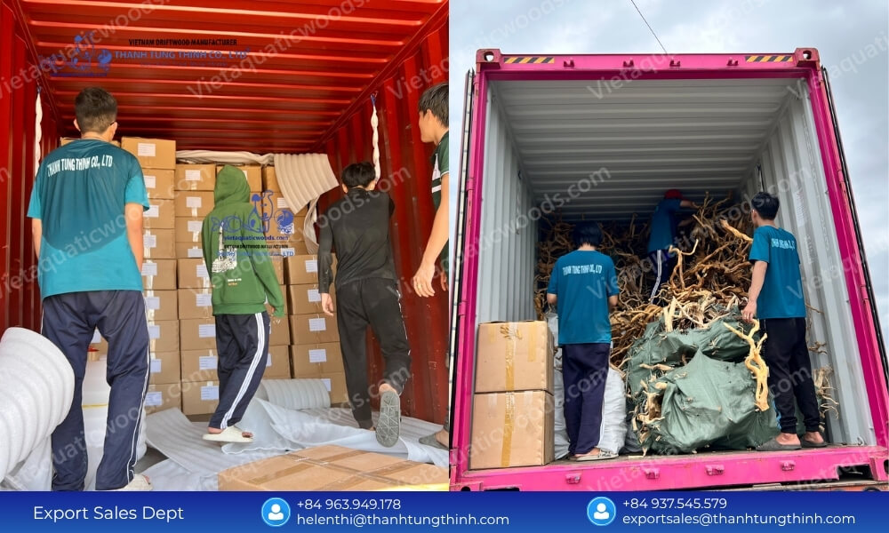 Buy Direct: Sam Driftwood Supplier in Vietnam Global Shipping