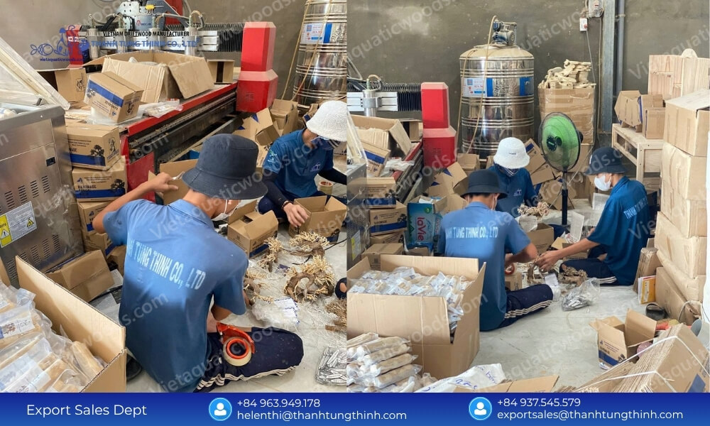 Buy Direct: Sam Driftwood Supplier in Vietnam Global Shipping