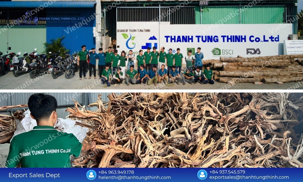 Chain of Custody Standards from an FSC Certified Kimchi Driftwood Wholesale Supplier