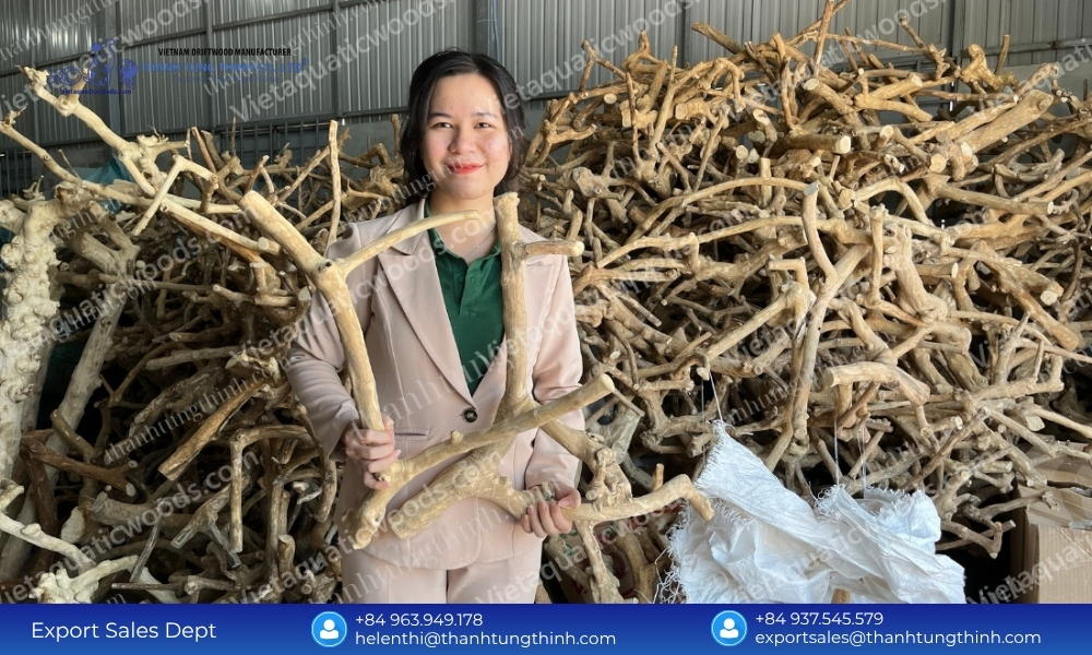 Chain of Custody Standards from an FSC Certified Kimchi Driftwood Wholesale Supplier