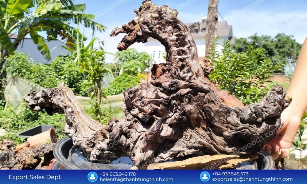 Direct Factory Sourcing: Re-Selling Kimchi Driftwood Wholesale Profitably