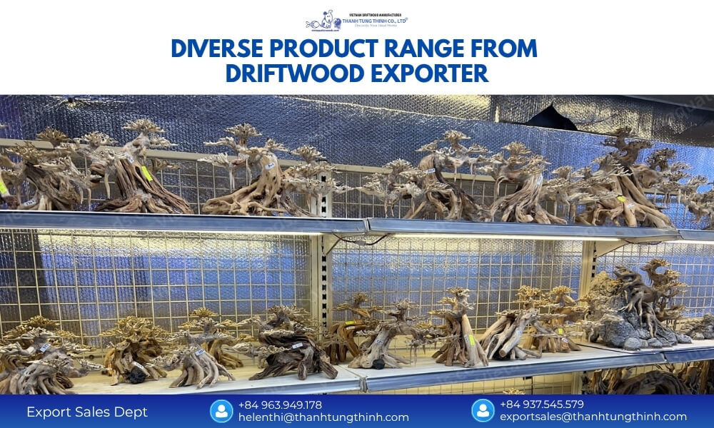 Stunning aquascape design using natural driftwood