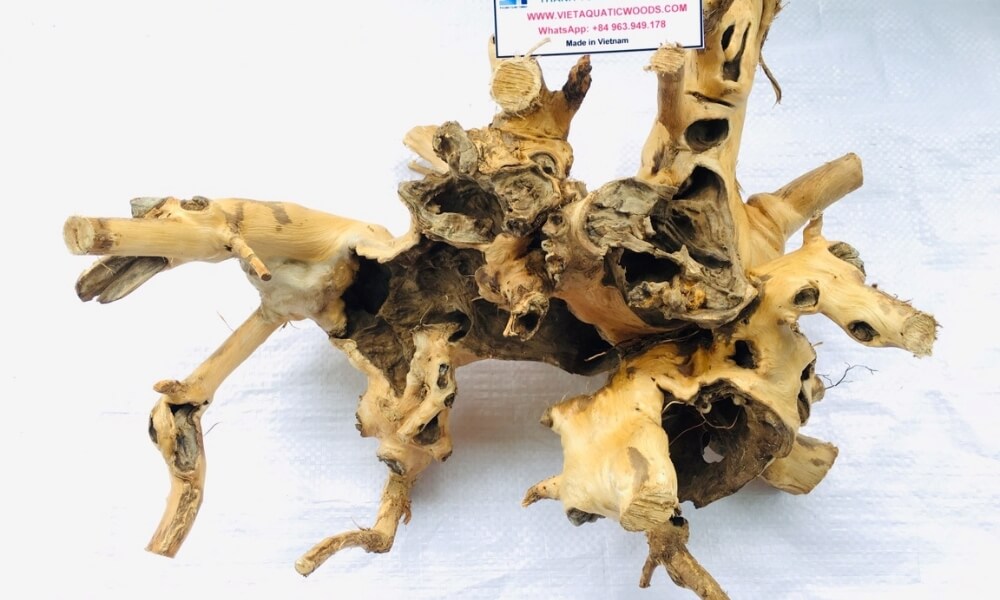 Eliminating Defect Risks via a Certified Kimchi Driftwood Wholesale Supplier