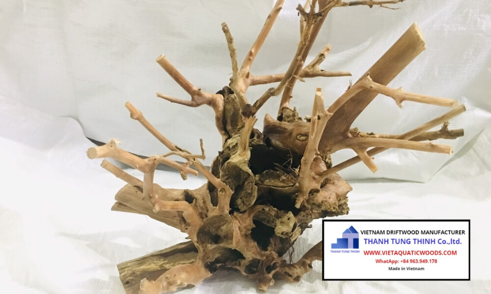 Eliminating Defect Risks via a Certified Kimchi Driftwood Wholesale Supplier