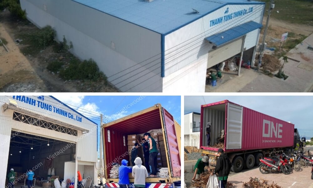 Eliminating Defect Risks via a Certified Kimchi Driftwood Wholesale Supplier