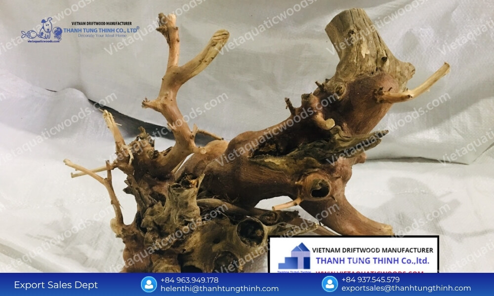 Factory Tour: Inside a World-Class Kimchi Driftwood Manufacturer