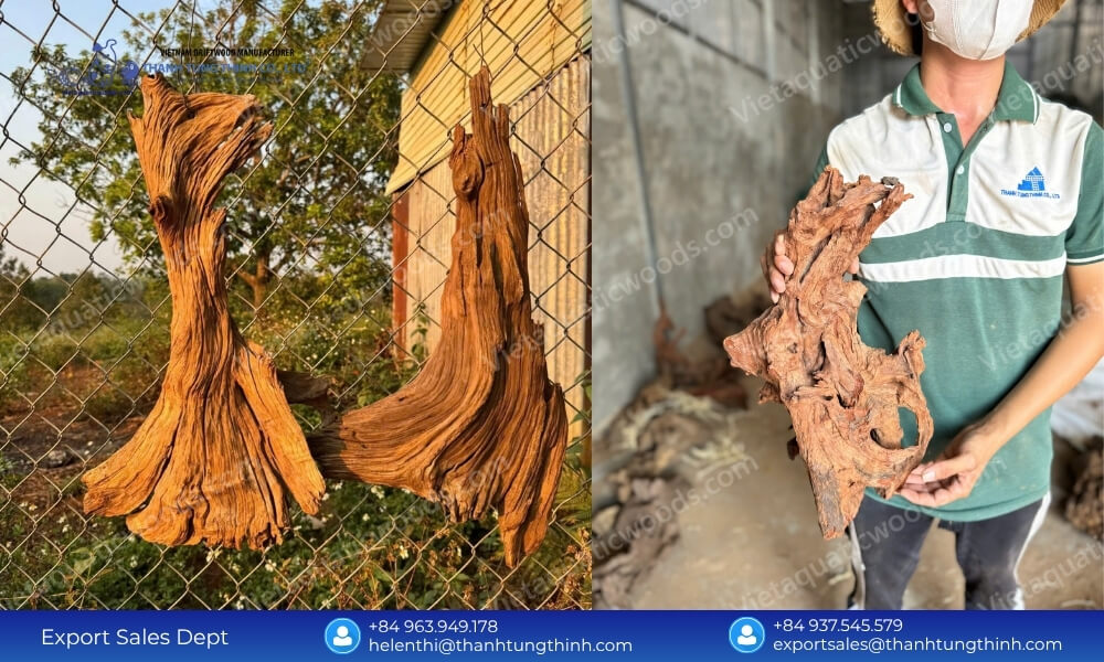 How to Choose the Right Sam Driftwood Bulk Supplier