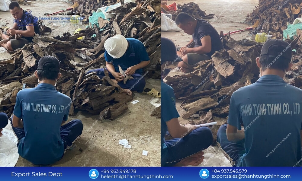 How to Choose the Right Sam Driftwood Bulk Supplier