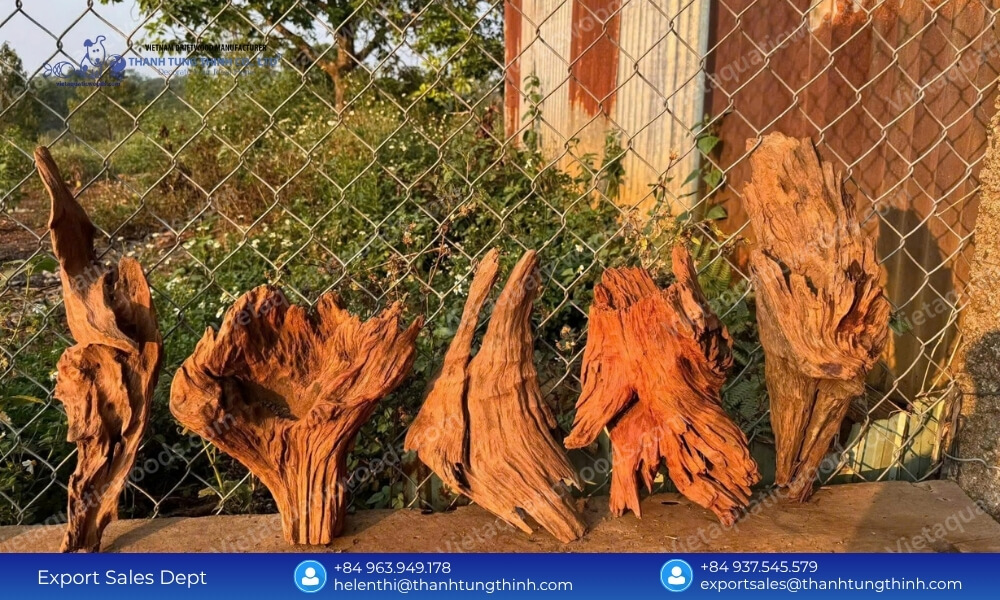 How to Choose the Right Sam Driftwood Bulk Supplier