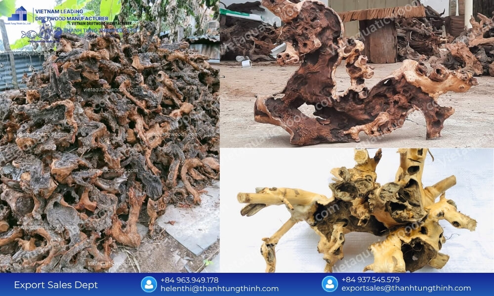 Kimchi Driftwood Bulk Buy: Assorted Sizes from Nano to Extra Large Boxes