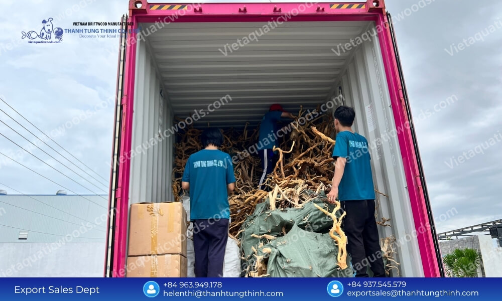 Kimchi Driftwood Bulk Buy: Assorted Sizes from Nano to Extra Large Boxes
