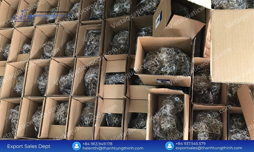 Kimchi Driftwood Bulk Buy: Assorted Sizes from Nano to Extra Large Boxes