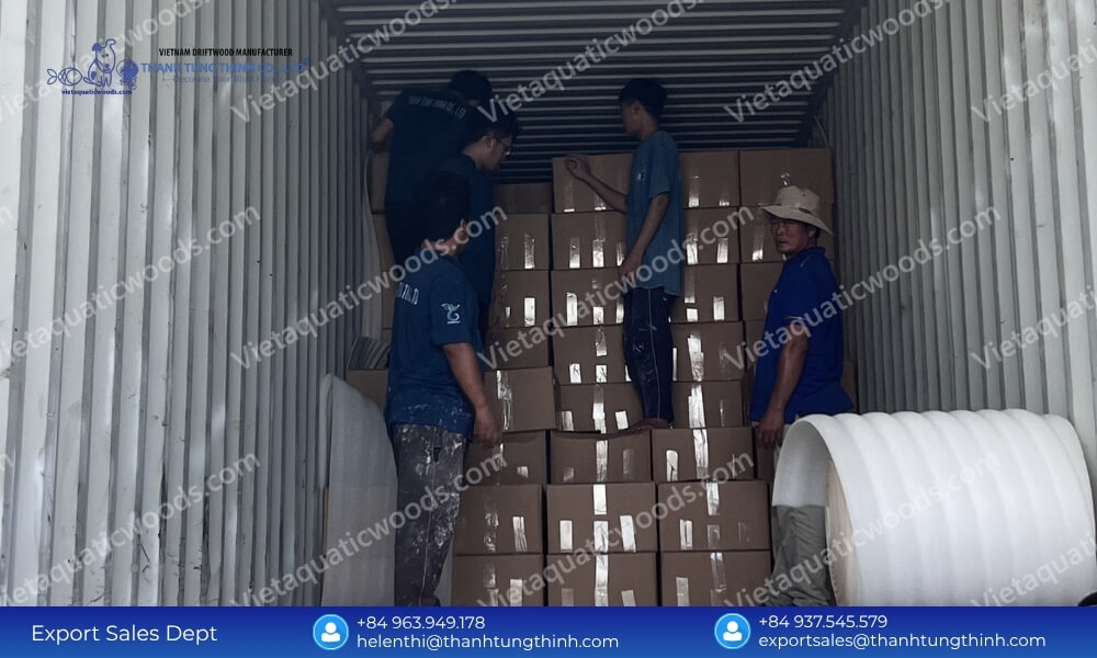 Kimchi Driftwood Distributor: Factory-Direct Inventory Supply
