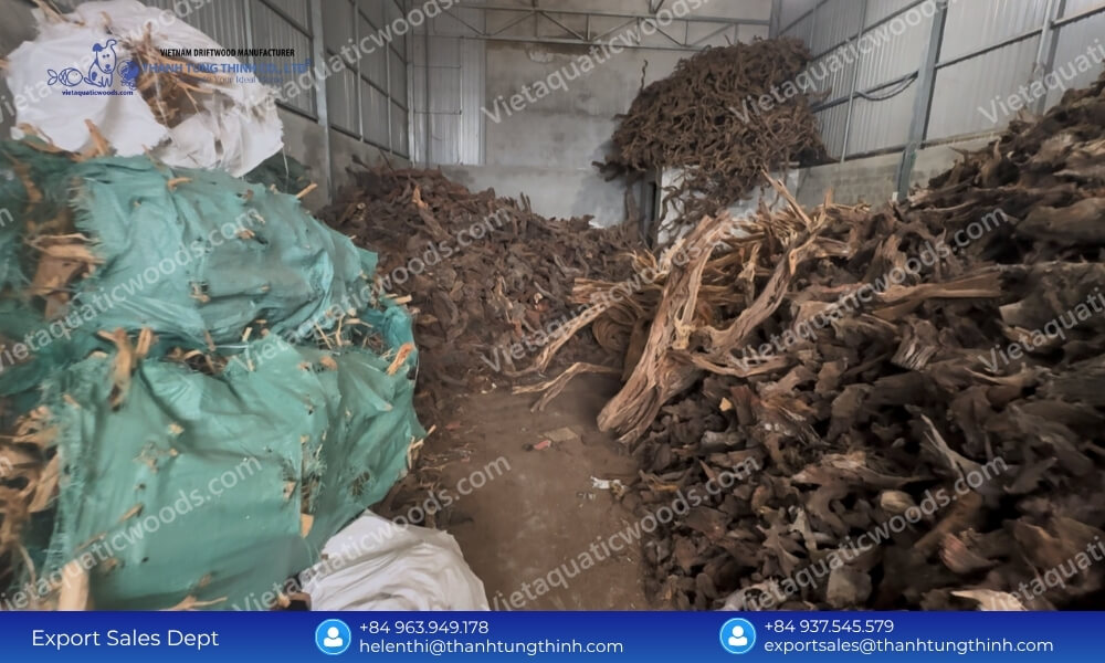 Kimchi Driftwood Distributor: Factory-Direct Inventory Supply