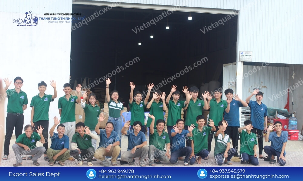 Kimchi Driftwood Distributor: Factory-Direct Inventory Supply