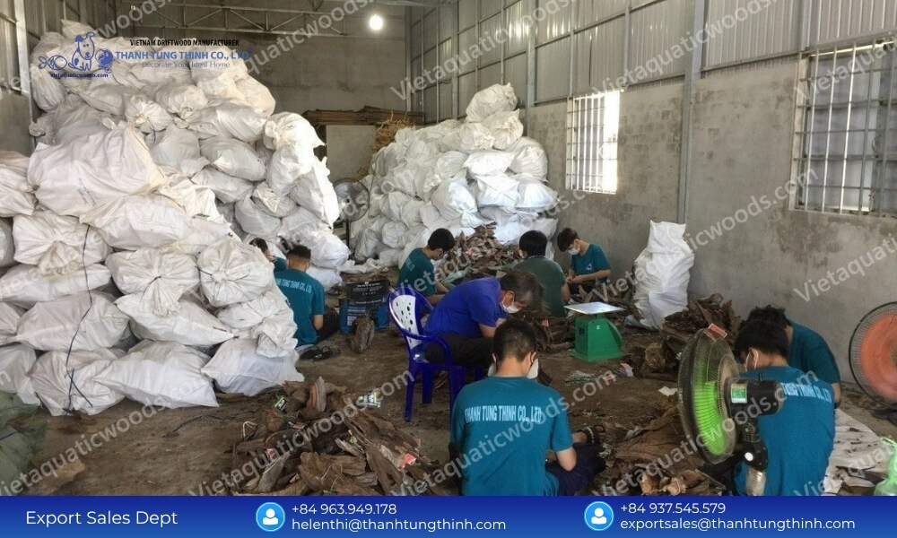 Kimchi Driftwood Distributor: Factory-Direct Inventory Supply