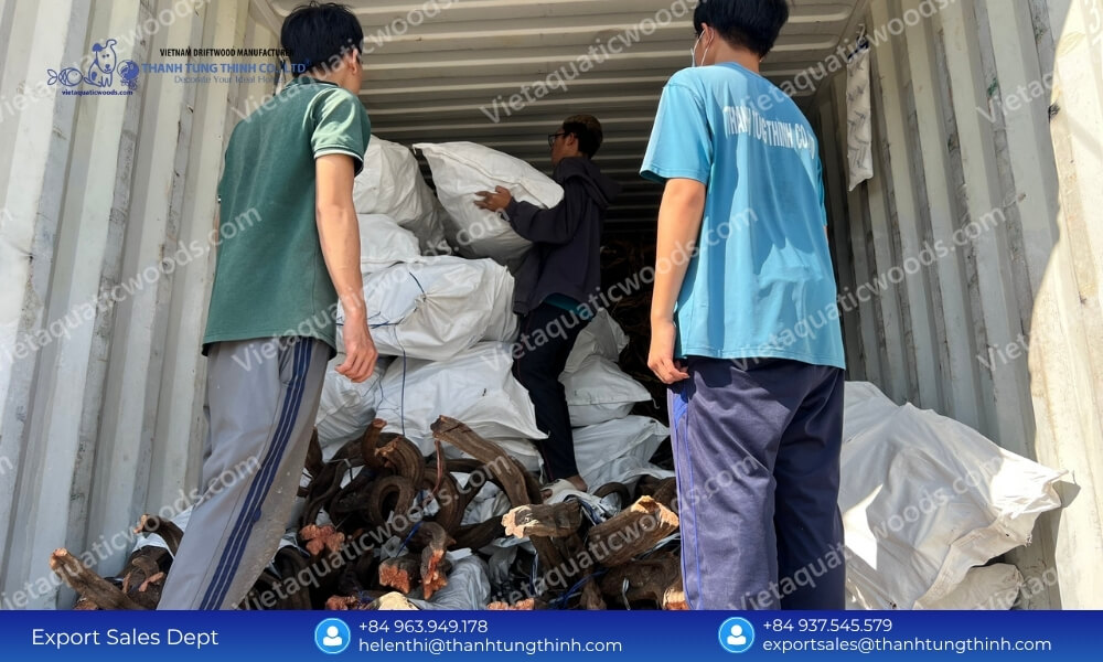 Kimchi Driftwood Factory: Custom OEM/ODM Design & Layout Services