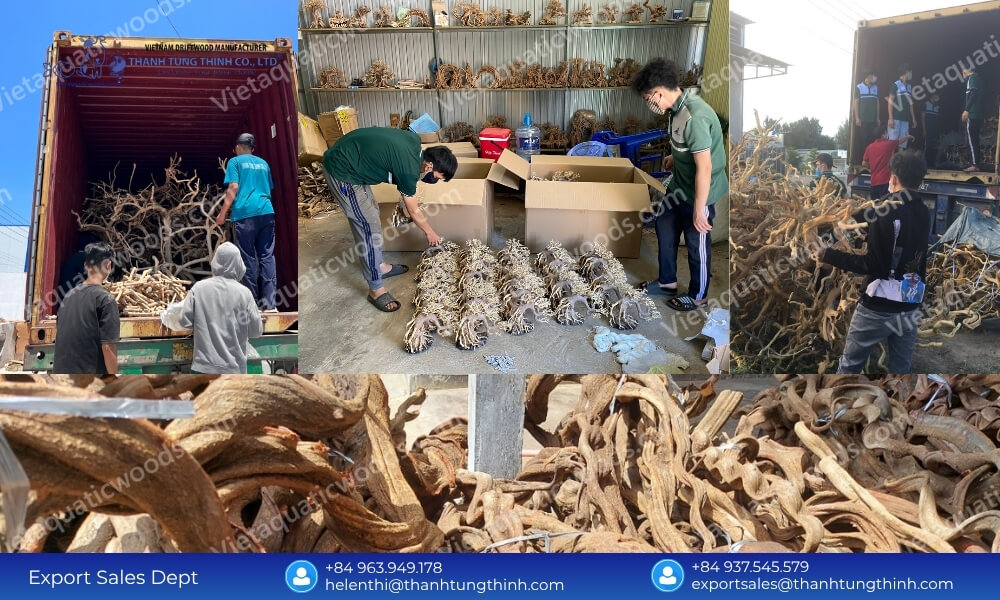 Kimchi Driftwood Factory: Custom OEM/ODM Design & Layout Services