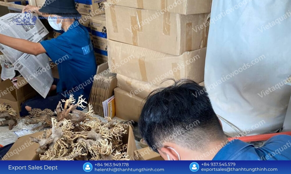 Kimchi Driftwood Factory: Custom OEM/ODM Design & Layout Services