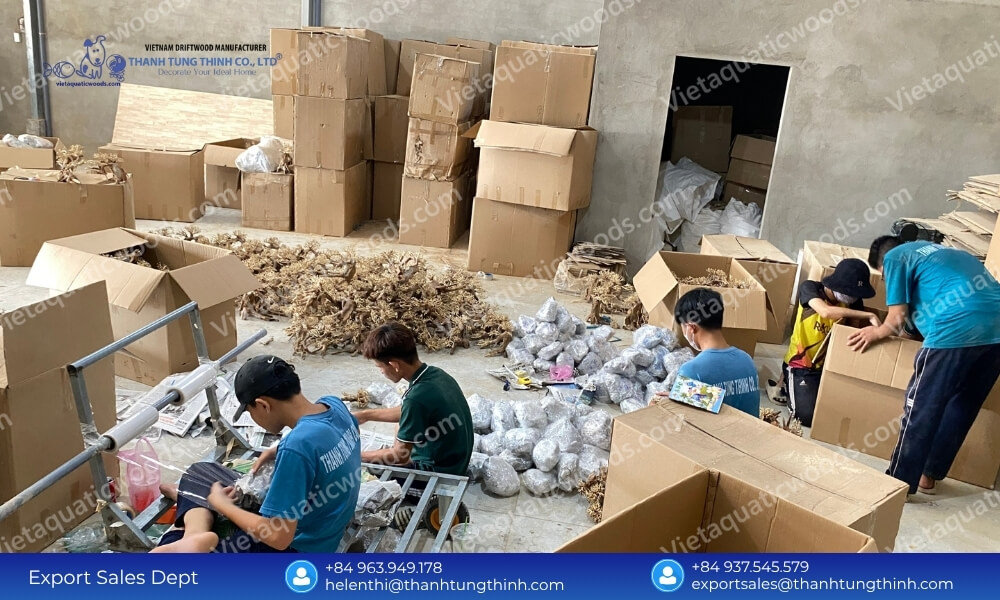 Kimchi Driftwood Factory: Custom OEM/ODM Design & Layout Services