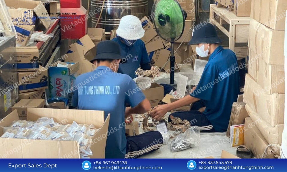 Kimchi Driftwood Factory: Custom OEM/ODM Design & Layout Services