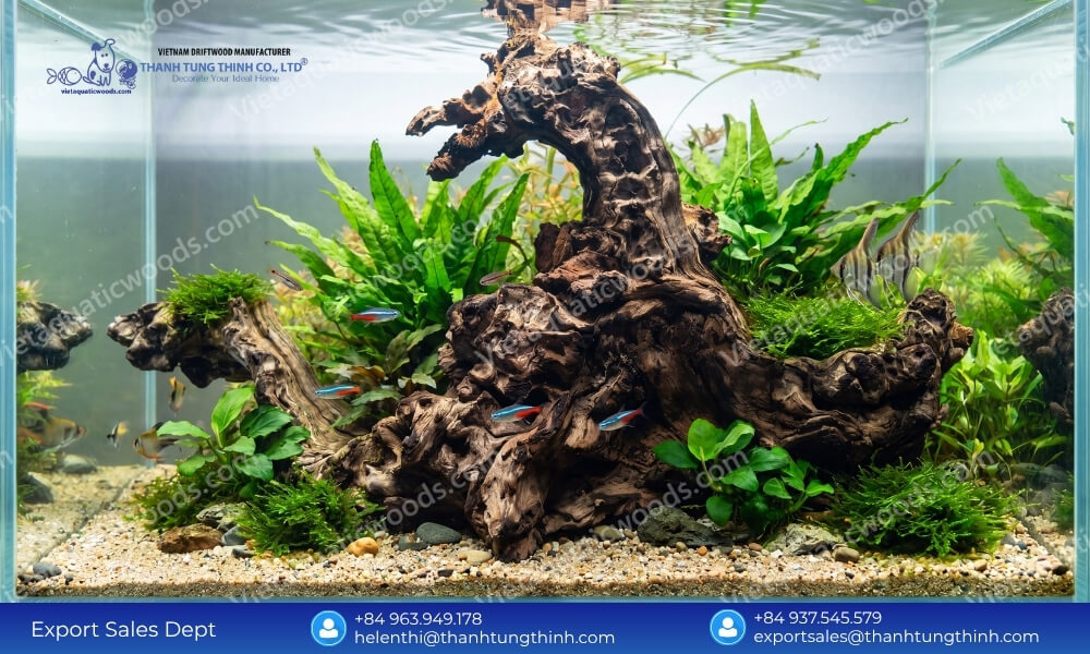 Kimchi Driftwood Factory: Custom OEM/ODM Design & Layout Services