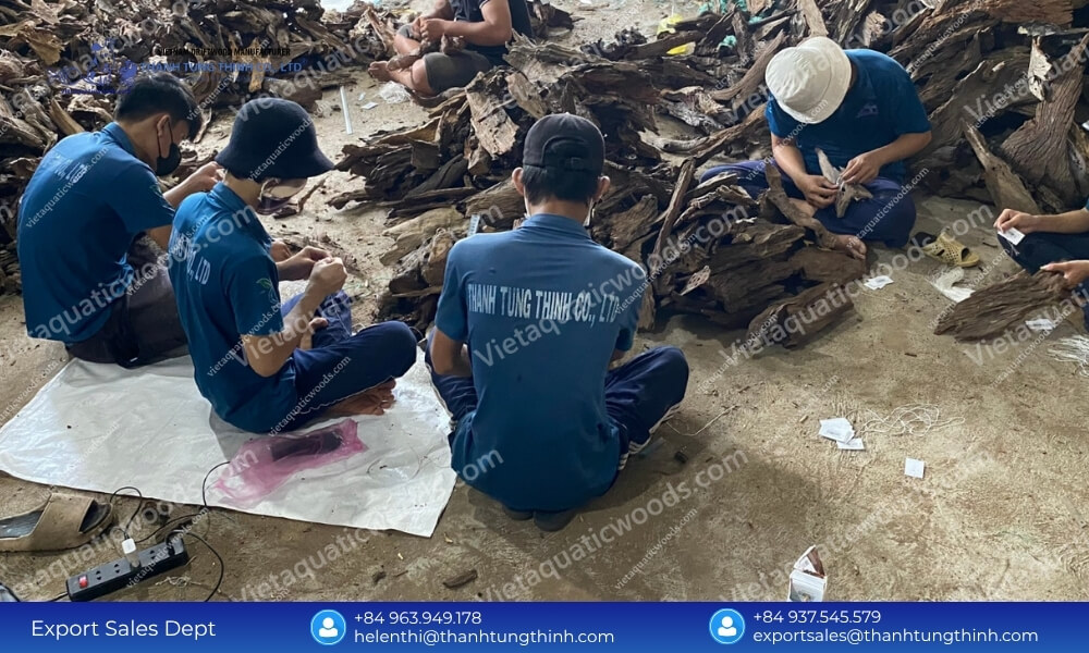 Kimchi Driftwood Import from Vietnam: Best Wholesale Volume Rates