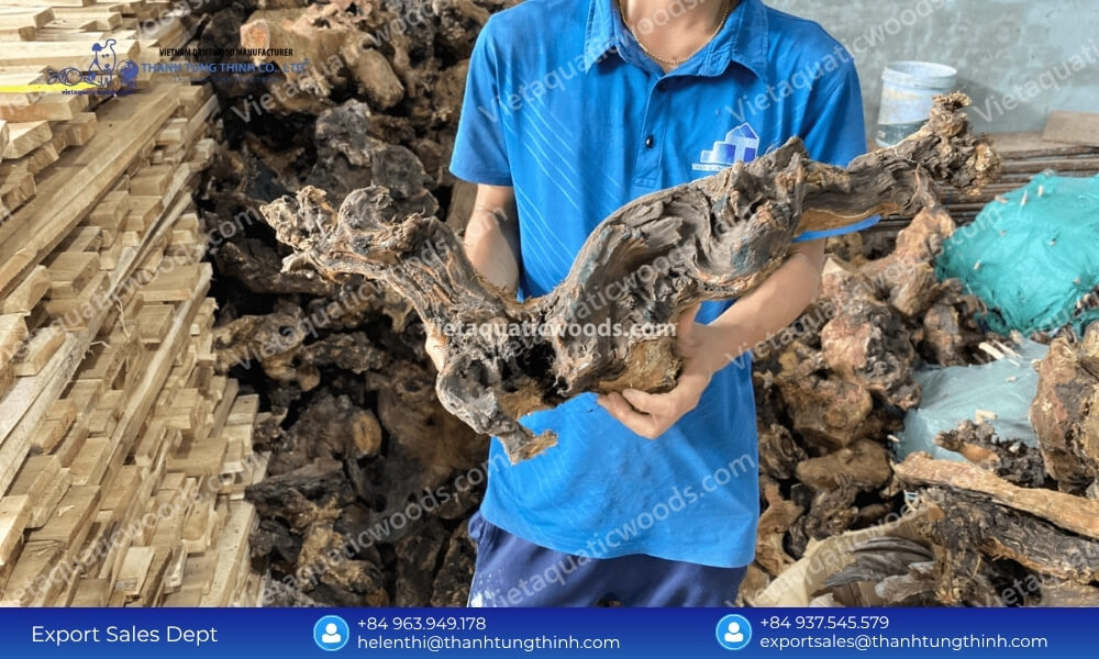 Kimchi Driftwood Import from Vietnam: Best Wholesale Volume Rates