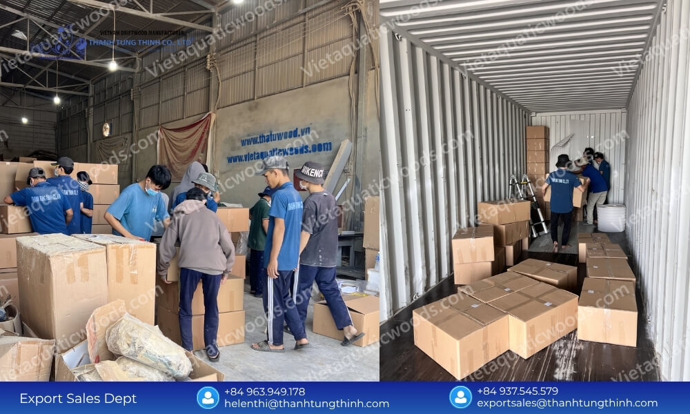 Kimchi Driftwood Import from Vietnam: Best Wholesale Volume Rates
