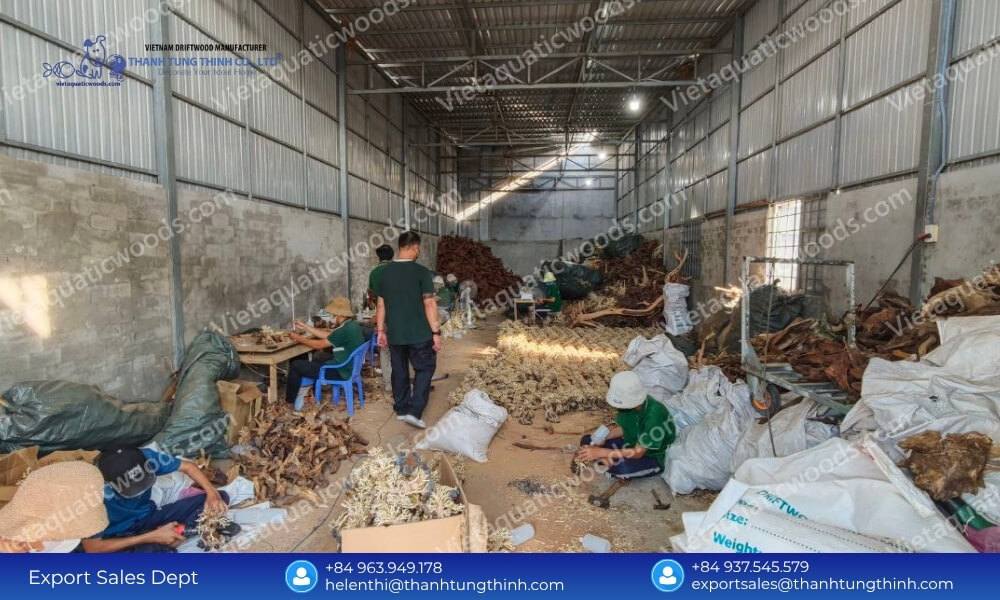 Kimchi Driftwood Import from Vietnam: Best Wholesale Volume Rates